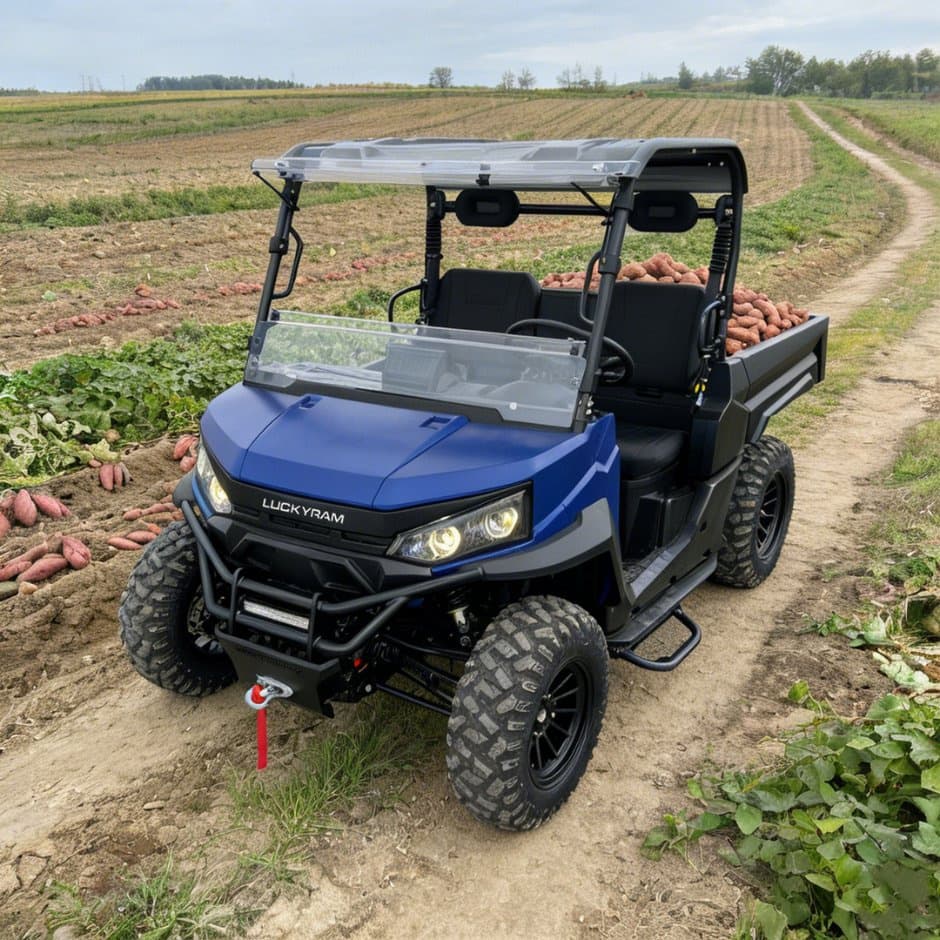 73.6V 4WD UTV 10kw AC มอเตอร์ EPS พวงมาลัย 150ah แบตเตอรี่